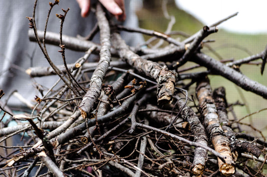 Extra Kindling
